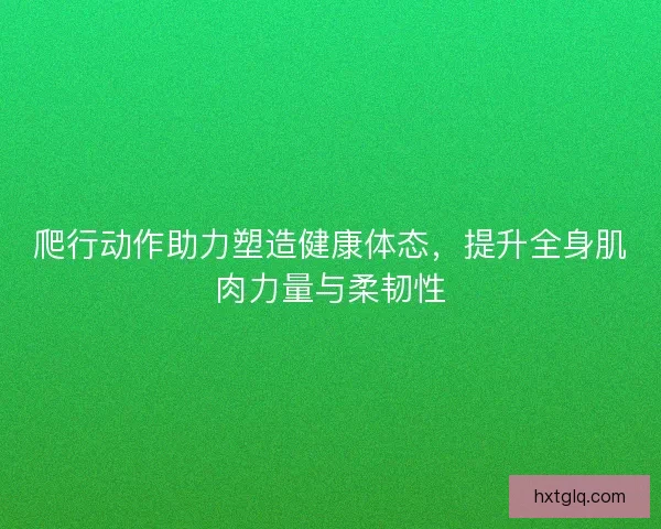 爬行动作助力塑造健康体态，提升全身肌肉力量与柔韧性